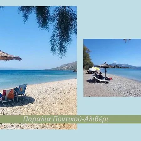 ανέμη